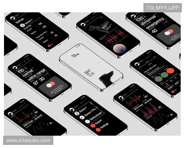 专业欧博网站维护服务帮助提升网站稳定性与用户体验